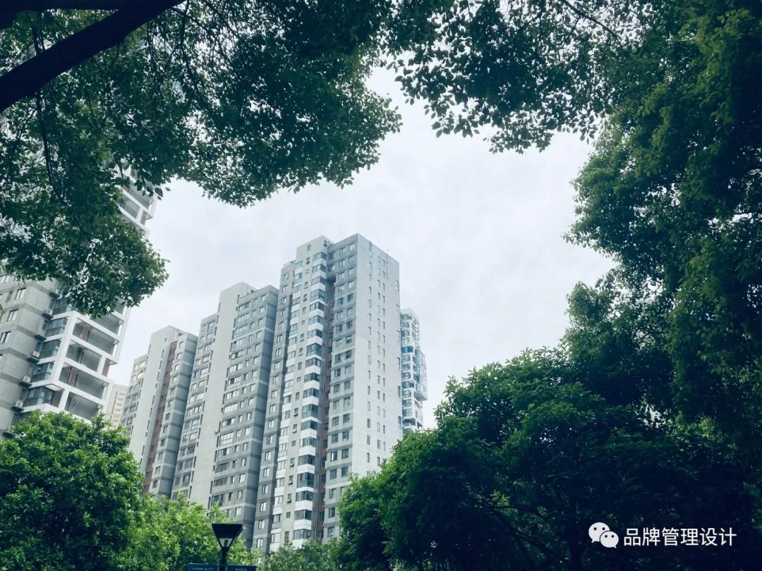 1683613135712440.jpg w4.jpg