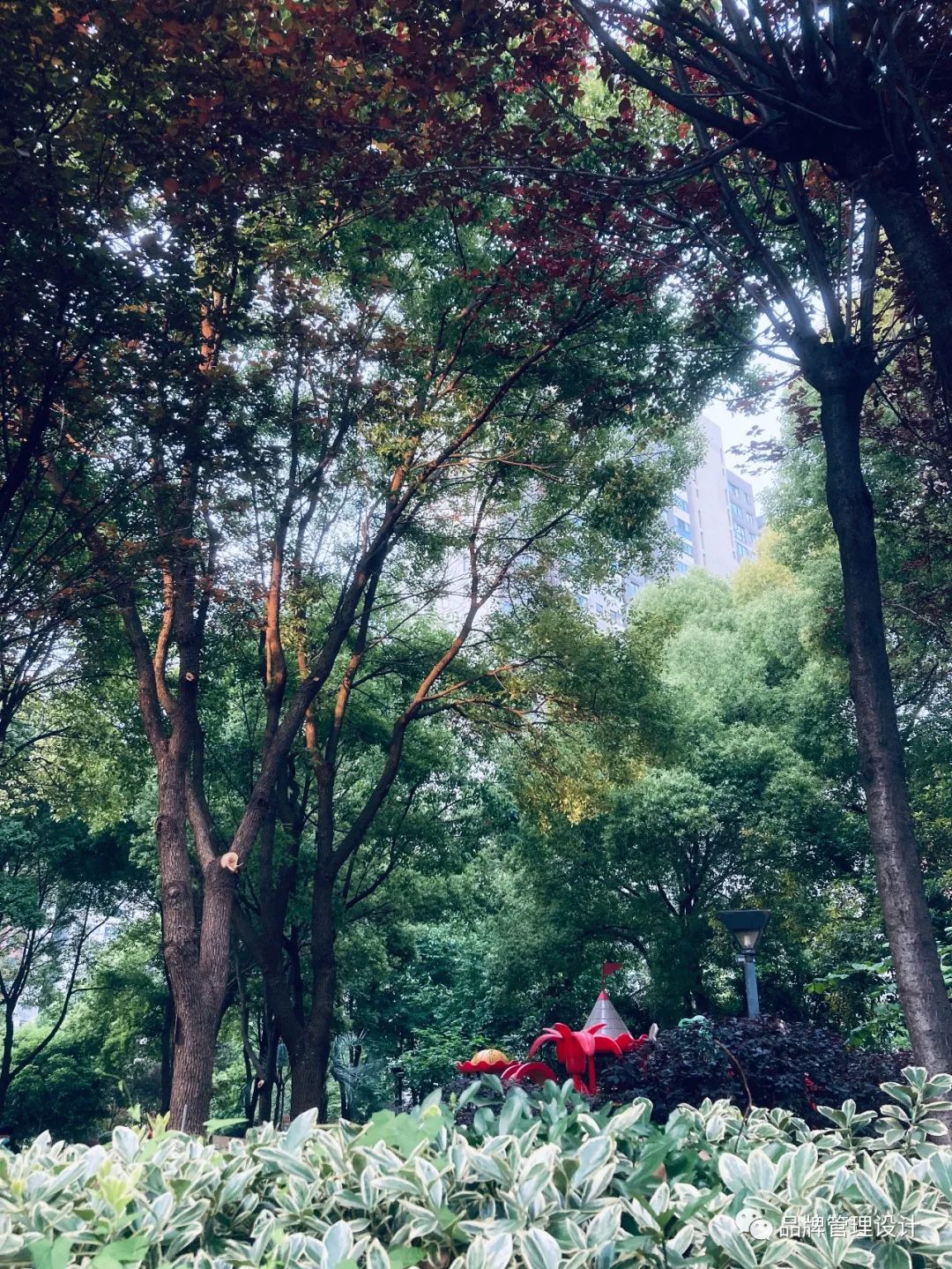 1685429157672637.jpg q1.jpg