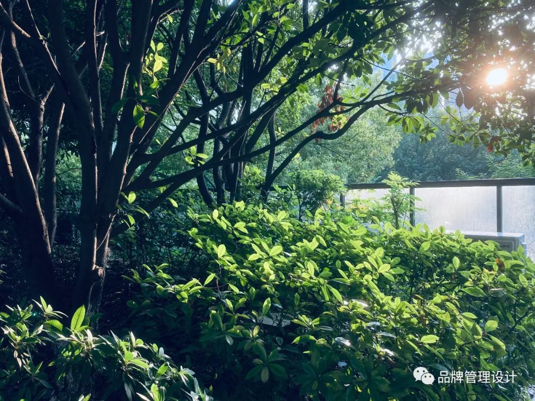 1685429200190222.jpg q2.jpg