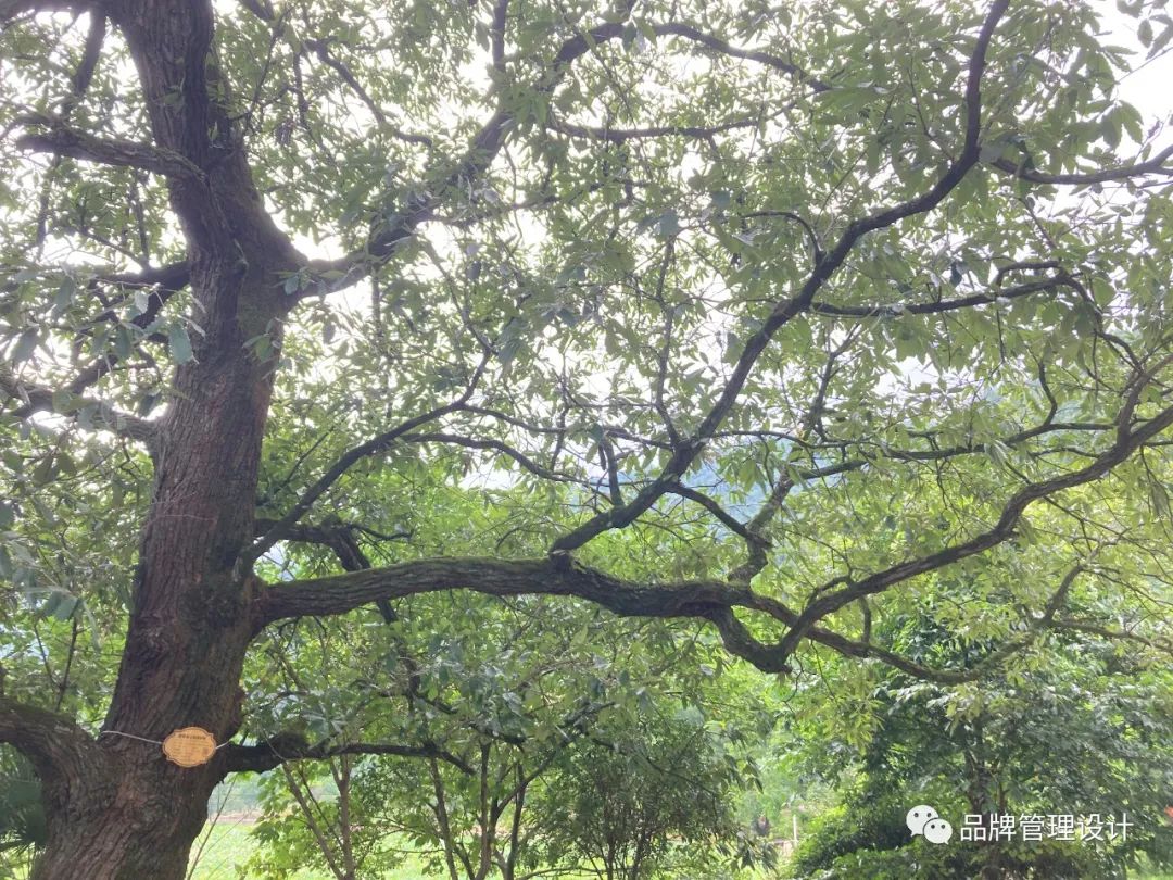 1690787698374248.jpg 012.jpg