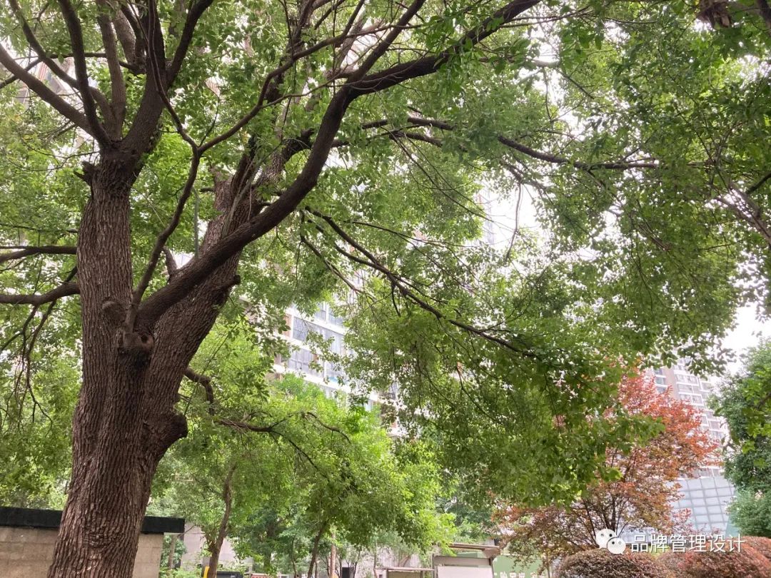 1690787713994886.jpg 013.jpg