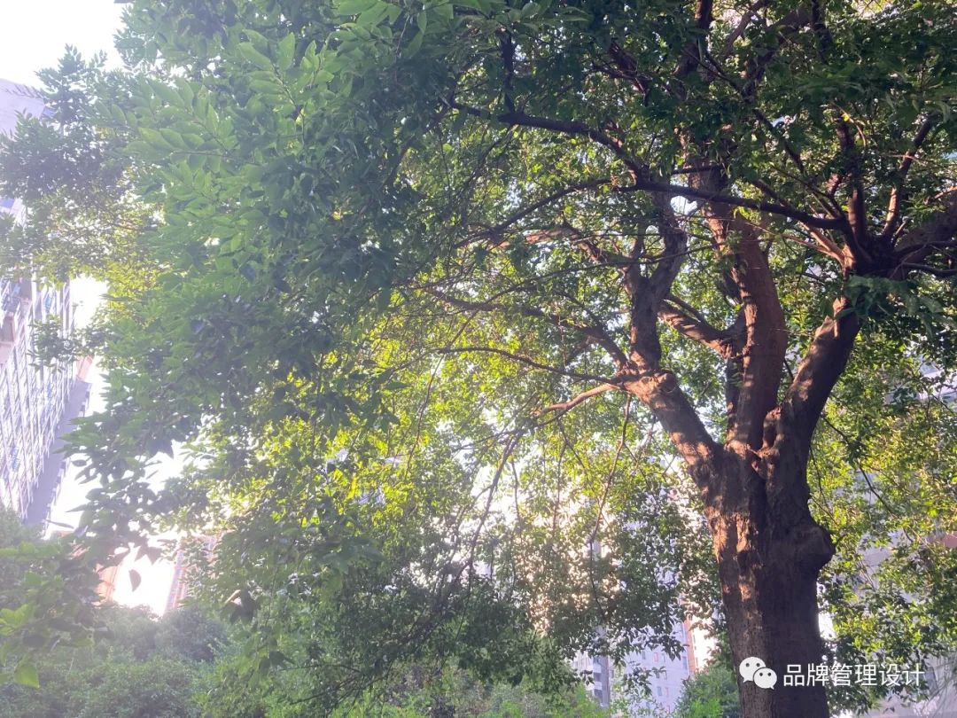 1698800497163641.jpg 03.jpg