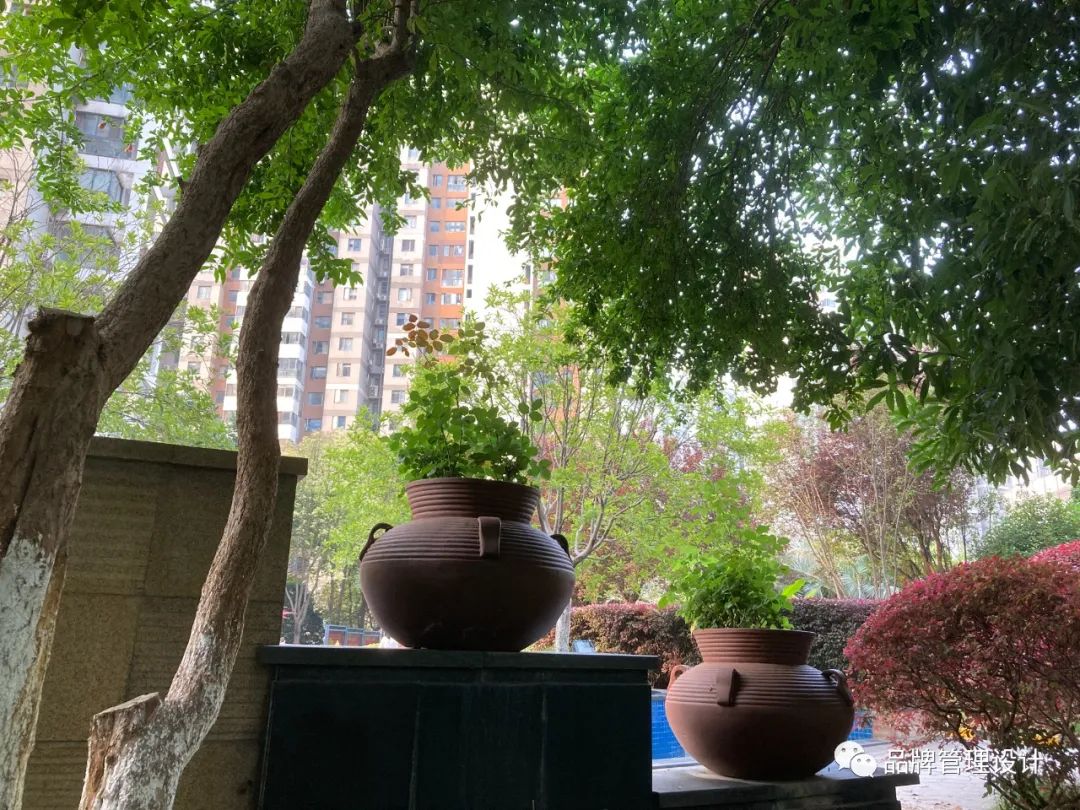 1698800514539709.jpg 04.jpg